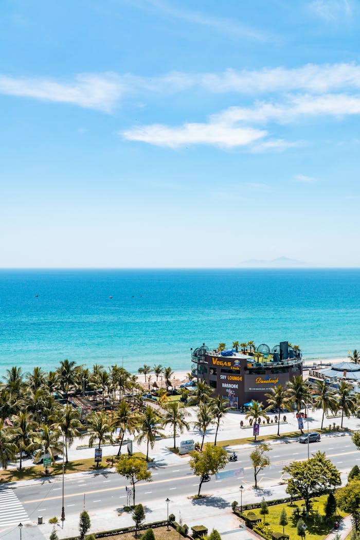 A stunning aerial view of a tropical beach with palm trees and a clear blue ocean.