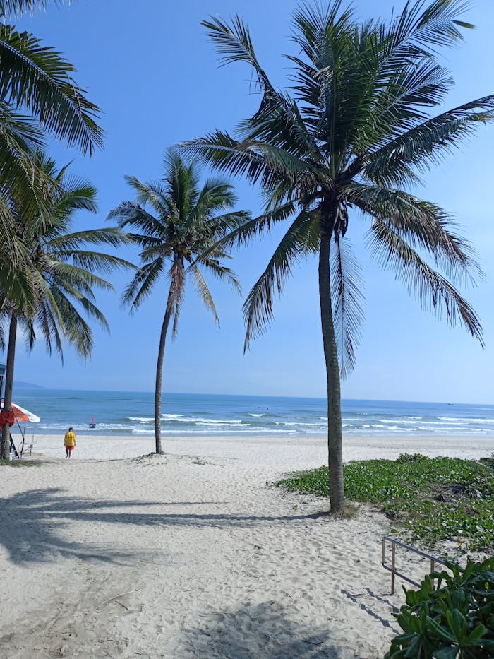 Serene tropical beach scene featuring palm trees and ocean waves under a clear sky.