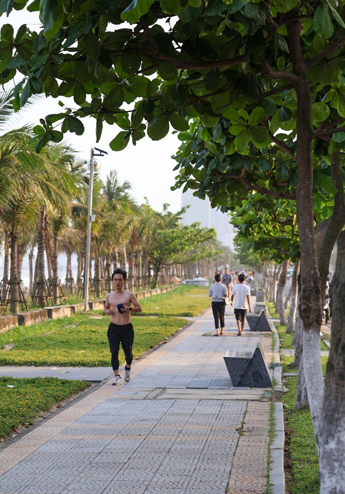 Pexels Photo 36606017